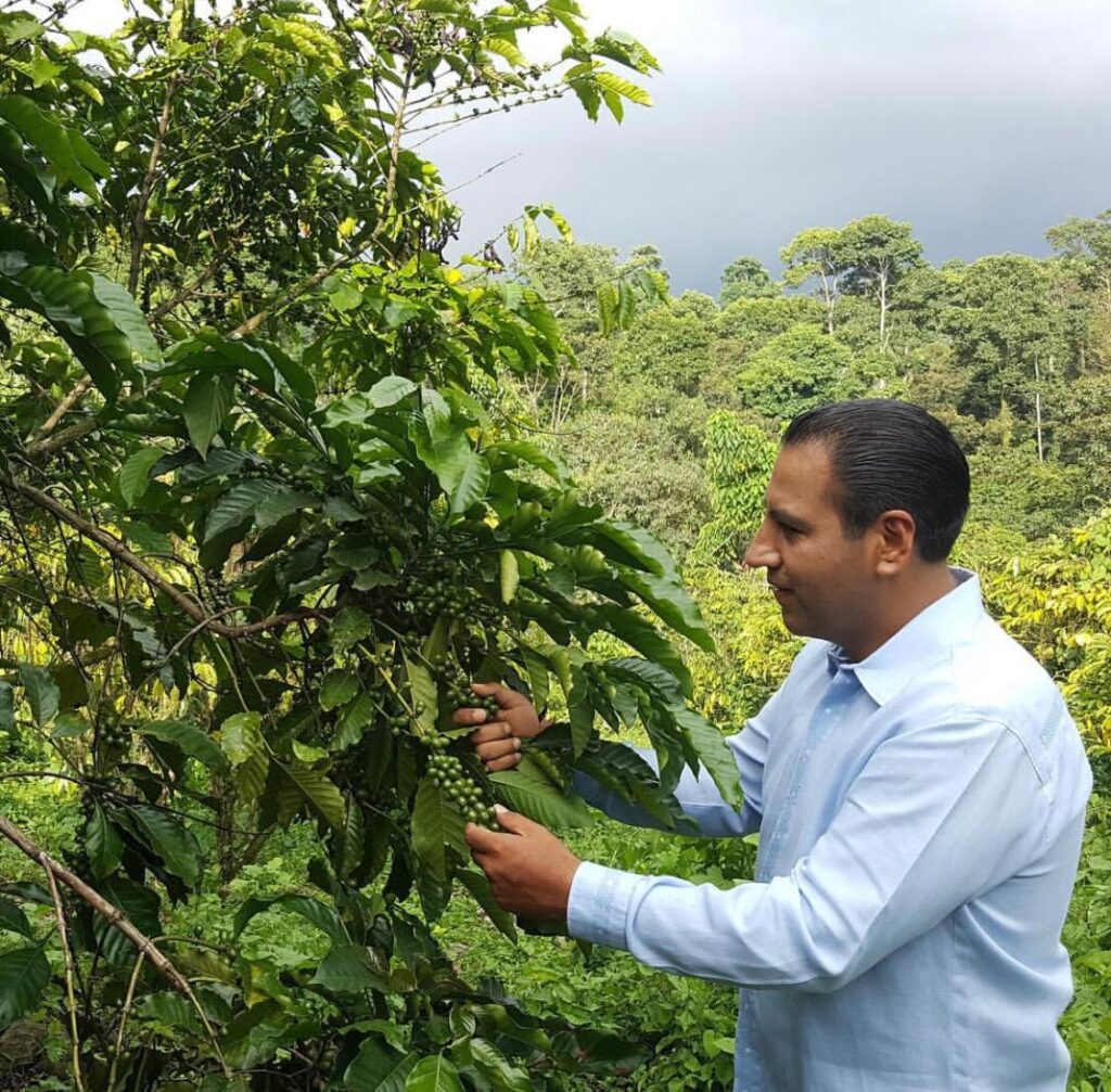 Escenario adverso para cafeticultores por fijación de precios en el mercado internacional