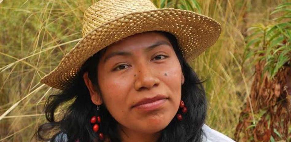 Desaparece Irma Galindo, defensora mixteca del bosque en Oaxaca