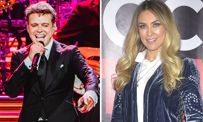 Luis Miguel ya habría pagado deuda por pensión de sus hijos a Aracely Arámbula