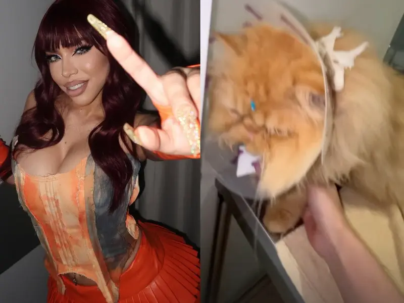 Acusan a Yeri Mua de maltrato animal a su gata; ella responde